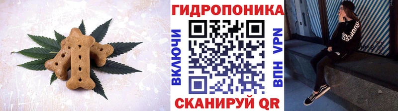 наркотики  Мураши  Еда ТГК конопля 