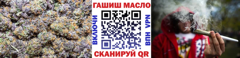 Дистиллят ТГК гашишное масло МЕГА зеркало Мураши как найти