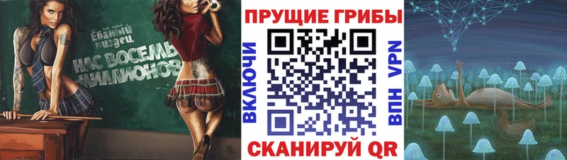 Галлюциногенные грибы мицелий  Мураши 